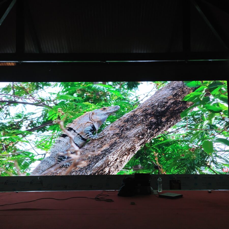 Module LED P3 Trong Nhà (Indoor)